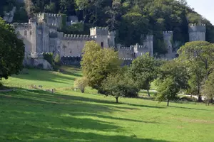 Gwrych Castle and Grounds